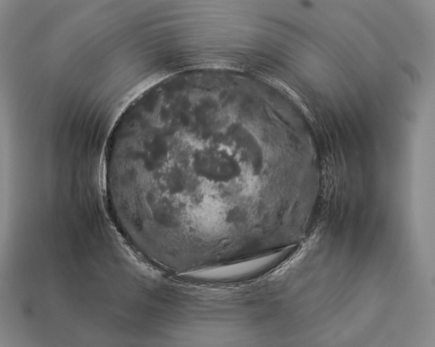 X0000112931125200909071028