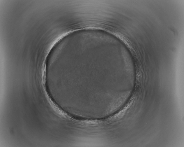 X0000112931126200909071028