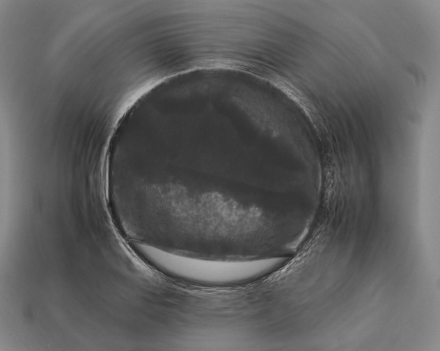 X0000112931127200909071028