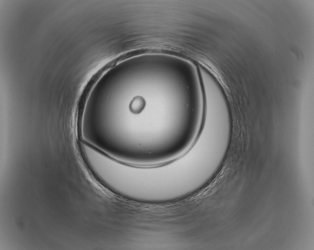 X0000112931128200909071028