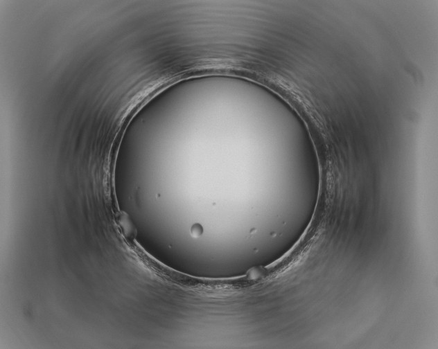 X0000112931129200909071028