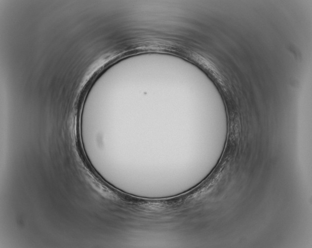 X0000112931130200909071028