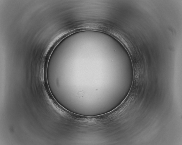 X0000112931131200909071028