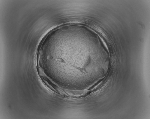 X0000112931132200909071028