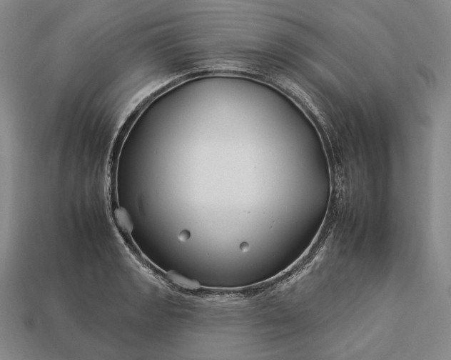 X0000112931133200909071028