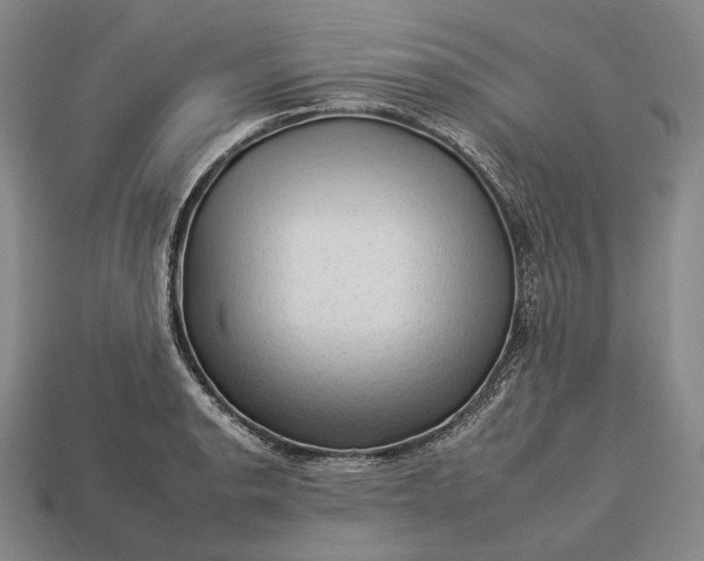 X0000112931134200909071028