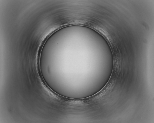 X0000112931135200909071028