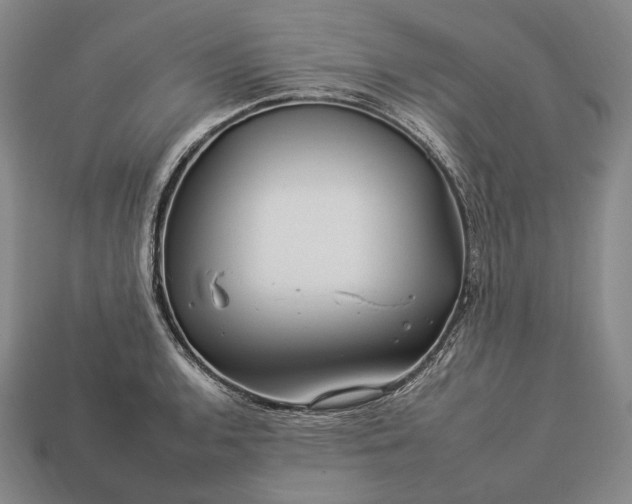 X0000112931136200909071028