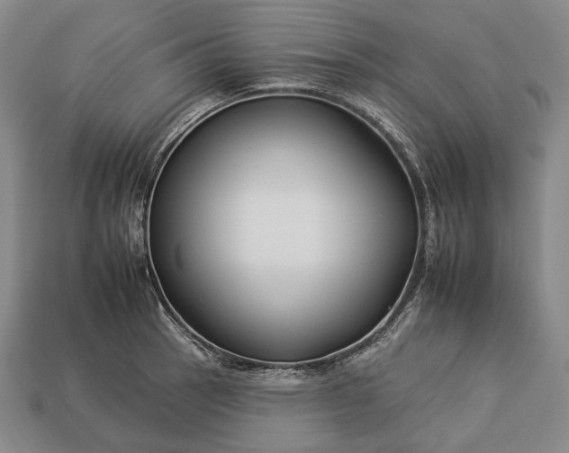 X0000112931137200909071028