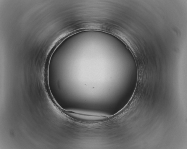 X0000112931139200909071028