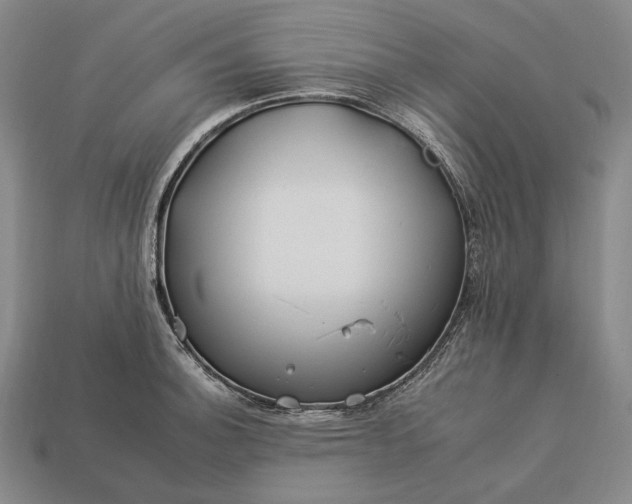 X0000112931140200909071028