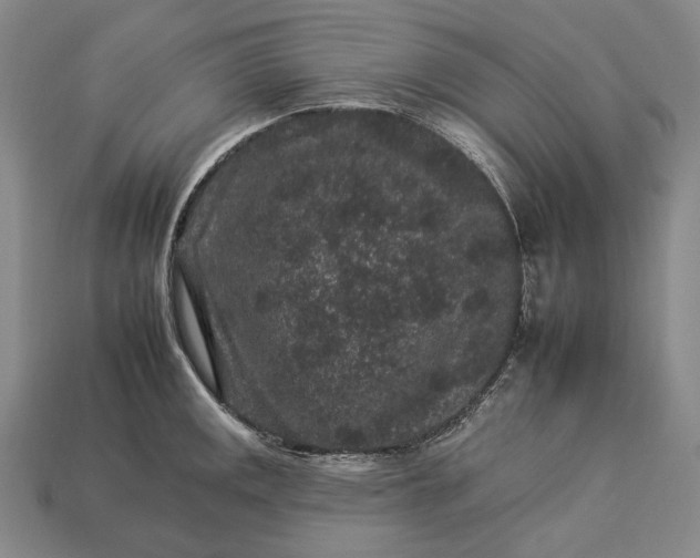 X0000112931141200909071028