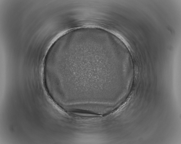 X0000112931142200909071028