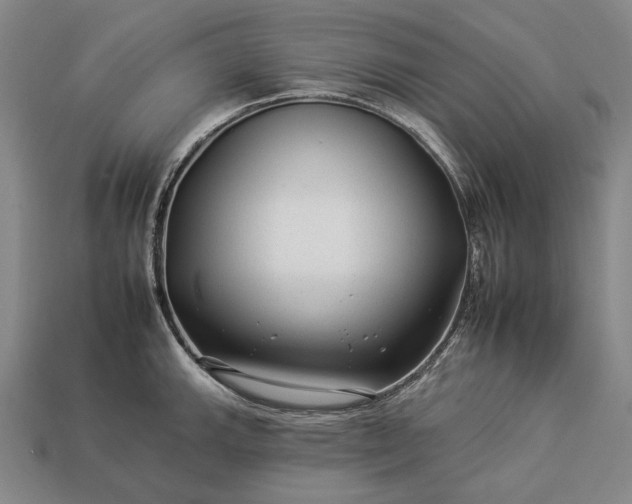 X0000112931143200909071028