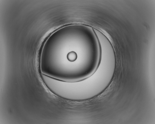 X0000112931144200909071028