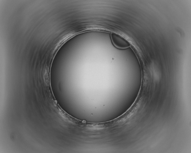 X0000112931145200909071028