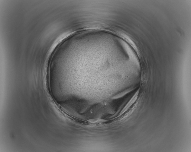 X0000112931146200909071028