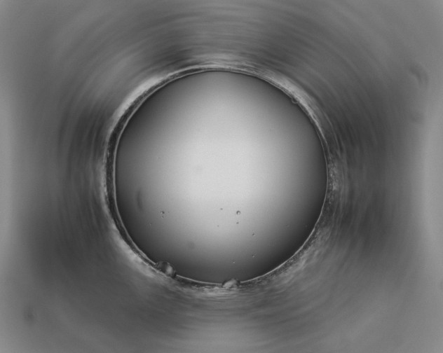 X0000112931147200909071028