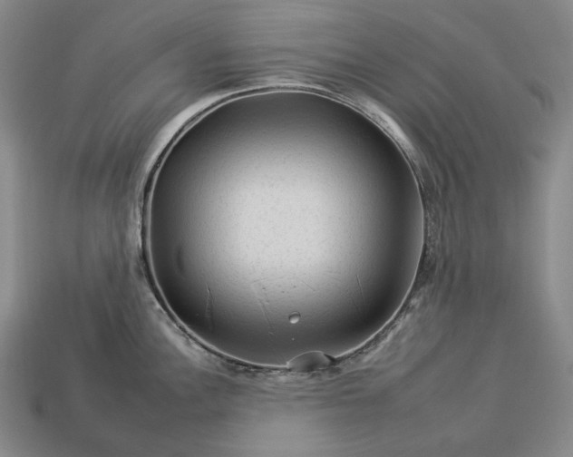 X0000112931148200909071028