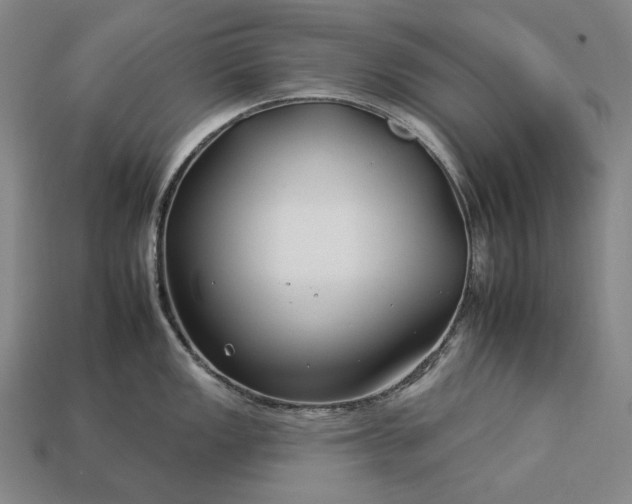 X0000112931149200909071028