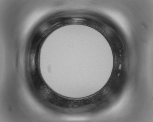 X0000112931150200909071028