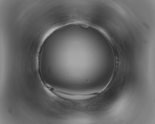 X0000112931151200909071028