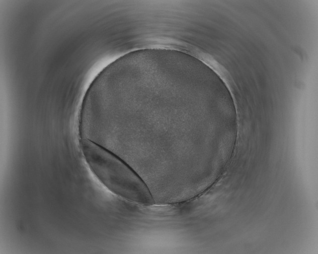 X0000112931152200909071028