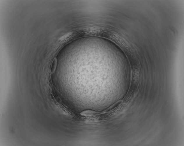 X0000112931153200909071027