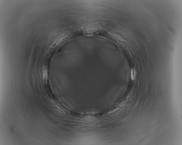 X0000112931155200909071027