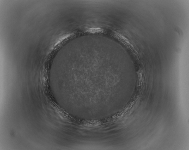 X0000112931158200909071027