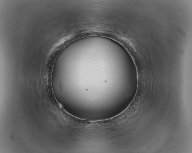 X0000112931159200909071027