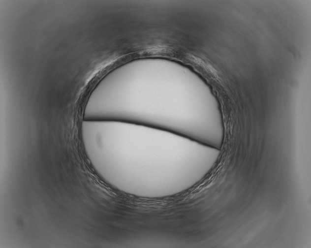 X0000112931160200909071027