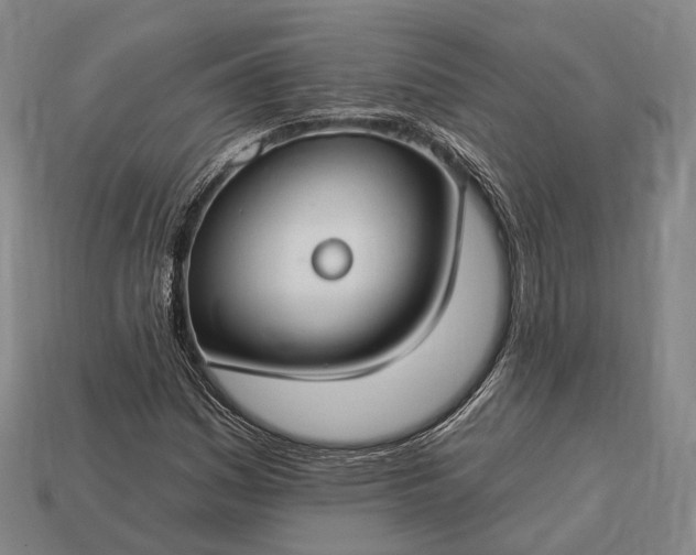 X0000112931161200909071027