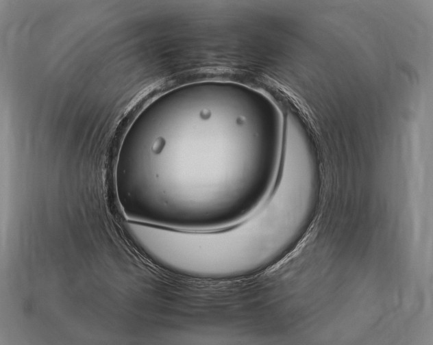 X0000112931162200909071027