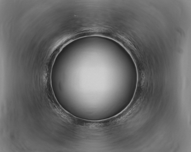 X0000112931163200909071027