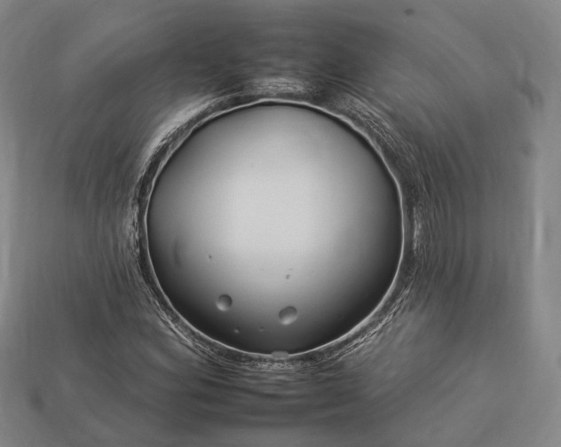 X0000112931164200909071027