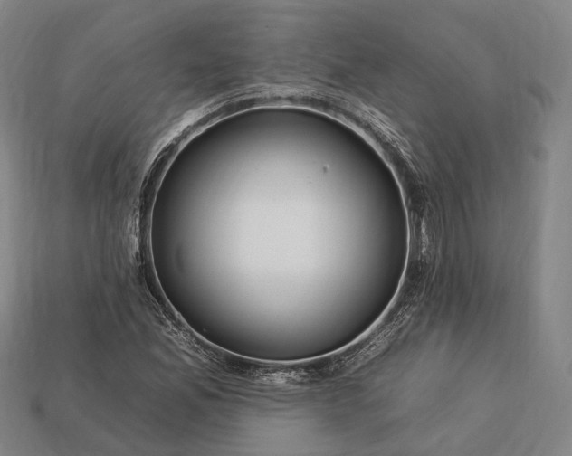 X0000112931165200909071027