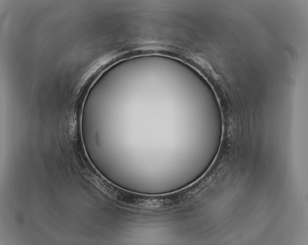 X0000112931167200909071027