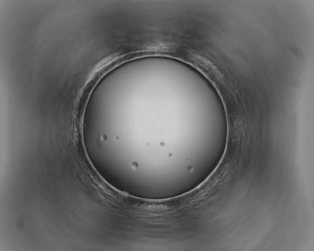 X0000112931168200909071027