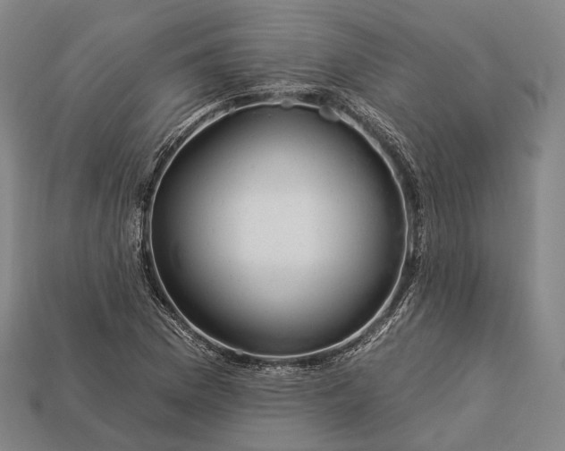 X0000112931169200909071027