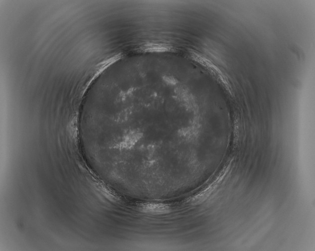 X0000112931170200909071027