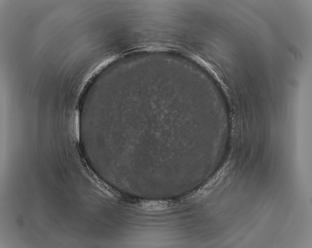 X0000112931171200909071027