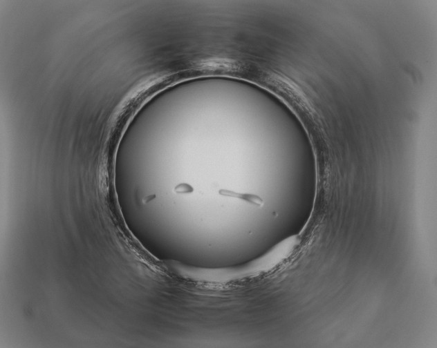 X0000112931172200909071027