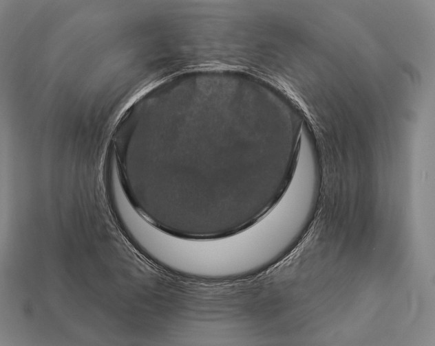 X0000112931173200909071027