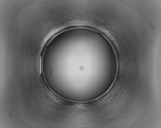 X0000112931175200909071027