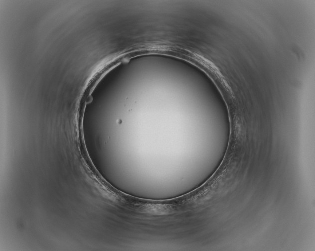 X0000112931176200909071027