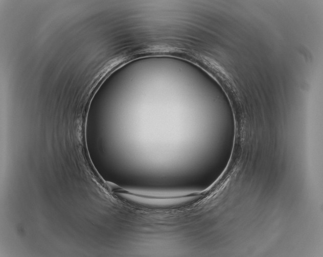 X0000112931177200909071027