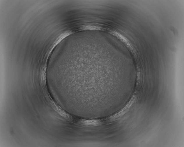 X0000112931178200909071027