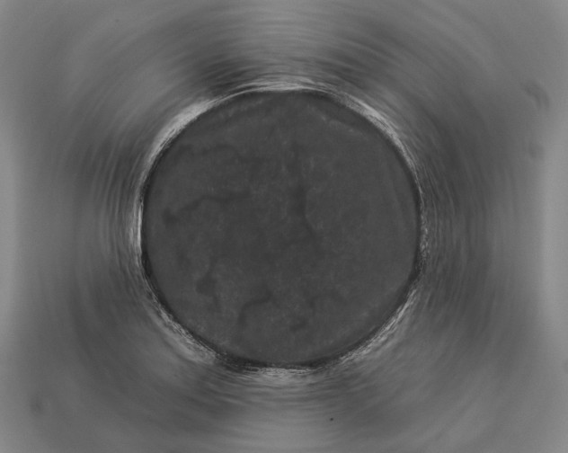 X0000112931179200909071027