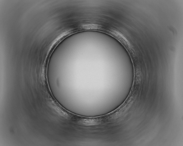 X0000112931182200909071027